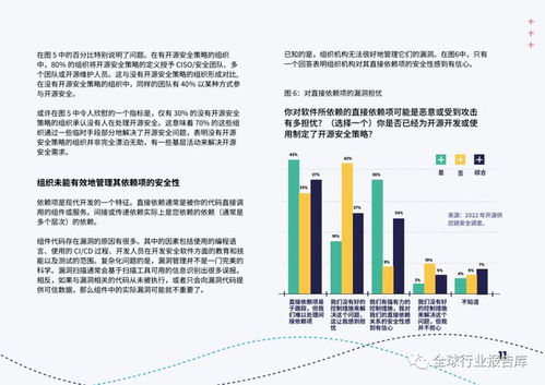 開源軟件安全 應對網絡安全挑戰的開發實踐與策略